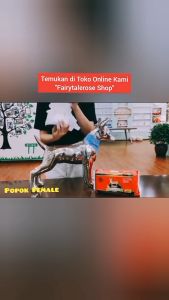 Popok Pampers - Anjing Kucing - Jantan Betina (per pak)