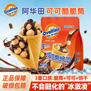 Chocolate Hazelnut Filling Ice Cream Cone Crispy Tube Snack for Students Children Delicious Biscuit with Ice Cream Flavor