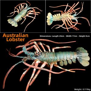 Realistic Large Lobster Model Toy Solid Plastic