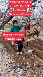 Máy Xới Đất Cầm Tay Yamaha 144F