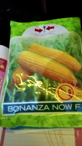 Ready Stok Termurah Bibit Jagung Manis Bonanza Now F1 bibit unggul isi 1.800 butir Original Kemasan Pabrik