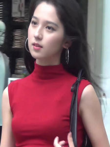 chaqi | French Vintage Red High Collar Sleeveless Vest Womens Summer Slimming Base Layer Shirt Short Top Fashion Commute Style