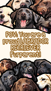 LABRADOR RETRIEVER DOG PEEKER STICKERS (WATEPROOF AND SCRATCH PROOF VINYL LAMINATED STICKER) FURPARENT GIFT IDEA