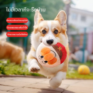 ของเล่นสุนัข ลูกบอลเด้งไฟฟ้า ของเล่นตุ๊กตาสัตว์เลี้ยง ของเล่นสร้างความบันเทิงให้ตัวเอง ของเล่นมีเสียง ของเล่นเคี้ยวกรามสำหรับลูกสุนัข เท็ดดี้ คอร์กี้ ของเล่นสัตว์เลี้ยง