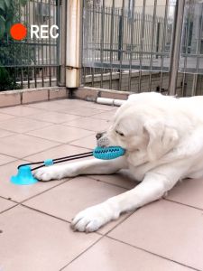 ของเล่นสุนัขราคาถูก ของเล่นน้องหมา ของเล่น ของเล่นสุนัข ของเล่นหมา ของเล่นออกกําลังกาย ของเล่นกัดแทะ ของเล่นสัตว์เลี้ยง ของเล่น