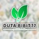 Duta Bibit77
