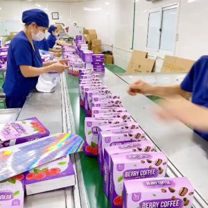 Cà Phê Giảm Cân Mâm Xôi Gừng Đen Nấm Linh Chi Coffee Collagen Giảm Mạnh Giảm 3-5kg tùy theo cơ địa ( hộp 12 gói )