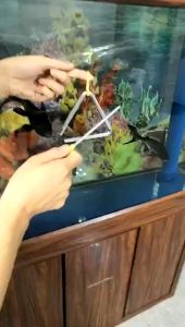 4/5/6 Inci Alat Musik Perkusi Anak Triangle Instrument Triangle Alat Musik Triangle Bell Instrument Mainan Musik Triangle Sensorik Bayi