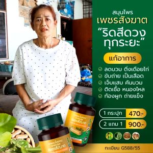 (4แถม2) เพชรสังฆาต ริดสีดวง สมุนไพรเพชรสังฆาต Hemorrhoids ยาแคปซูลผสมเพชรสังฆาตตราเอสเอ็น9 อัคคีทวาร ติ่งโผล่