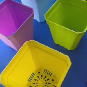 FLOWER POT PASU BUNGA