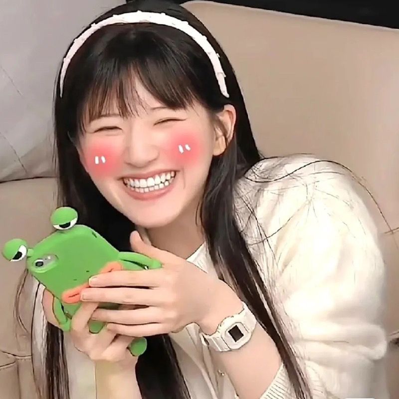 Zhaoliu Si Frosch Silikon-Handyhülle für iPhone 17 Max, 16, 11, 6, 12 Pro – Weiche Außenhülle – Bestseller der Internet-Prominenz_voghion.com