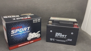 Aki Motor Beat FI, Karbu Beat, Street Mio, Soul Vario 110 & MURASPORT GTZ-5S