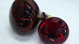 BROODER Heat LAMP Bulb for animals infrared bulb brooder heat lamp