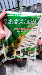 TRICHODERMA BACILLUS Đẩy Nhanh Quá Trình Ủ Và Không Có Mùi Hôi Đối Kháng Tuyến Trùng Cải Tạo Đất