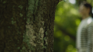 Nikon NIKKOR Z 50mm F1.4 Lens [Nikon Z] | Nikon Singapore Warranty