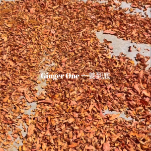 Ginger One Organic Vegan Turmeric Curcumin Powder without preservatives 100gm