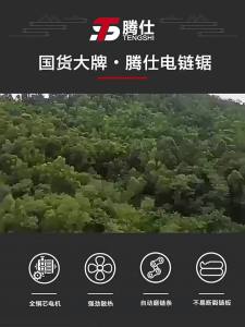 Hansth | Lithium Electric Chainsaw For Cutting Wood