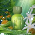 MYKONOS MATCHA LATTE Extrait De Parfum 50 ML. 