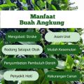 Buah Angkung Segar Obat Struk herbal alami 200 biji bonus 20 biji. 