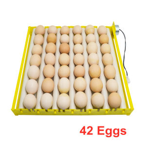 Automatic Roller Egg Tray 360° Rotary Egg Turner 220V Incubator Egg Incubation Accessory 42/56/156 Eggs for Bird Chicken Quail