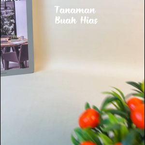 Sampai7an PBP104 / Pot Bunga Jenis Buah Delima Jeruk Hawberry Dekorasi Tanaman Hias Mini Plastik Artificial Ornamen Cantik Indoor Outdoor Ruangan Cafe Terbaru / COD