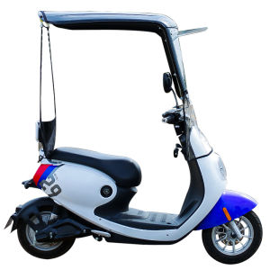 YIJIAYOUPENG | Transparent Extendable Full Enclosure Small E-bike Rain And Sunshade