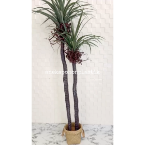 Pohon Hias Artificial Pohon Dracaena Dragon tree pohon Daun Pandan Bali X2 T160 Latex Cover Purun Handle Dekorasi Ruangan Rumah Cafe Aesthetic