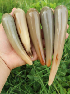 แท่งนวด Acupoint ฮอร์นบัฟฟาโลน้ําสีขาวธรรมชาติเพื่อสุขภาพร่างกายและสุขภาพอุปกรณ์นวดการดูแลส่วนบุคคล