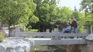 รถเข็นเด็กพับได้น้ำหนักเบา รถเข็นผู้ป่วย รถเข็นอลูมิเนียม ขนาดเล็ก น้ำหนักเบา พับได้ พร้อมกระเป๋าใส่เดินทาง รับน้ำหนักได้ถึง 100กก โครงสร้างอลูมิเนียม วีลแชร์ เก้าอี้รถเข็น พร้อมทุกข้อเสนอ