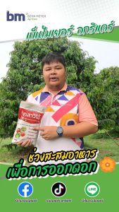 ส่งไว ปลอดภัย ปราศจากแคดเมียม+BY2 กลาวิโอ้ ให้พลังงานพืชทันทีในรูปMannanoligosaccharides ช่วยขยายขนาดผล เพิ่มการสะสมแป้ง เพิ่มน้ำหนัก เพิ่มคุณภาพ