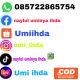 UMI GAMIS