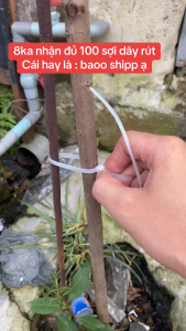 Dây thít nylon dây buộc nylon dây cable nylon dây nhựa nylon 66 chịu lực tốt không đứt gãy dùng trong công nghiệp điện