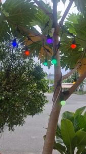 Dây đui đèn chống nước Sopoka dây đèn trang trí ngoài trời dây đui đèn 5m 10m chống nước cỡ đuôi E27 bảo hành 1 đổi 1 trong 2 năm
