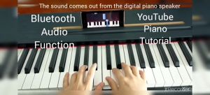 Exam/Master Grade 88 Keys Digital Piano 3 Pedals Fully Weighted Full Size Key Heavy Hammer Action Weighted Touch Digital Piano Bluetooth Piano APP Portable BLE-MIDI & BLE-Audio Complete Set