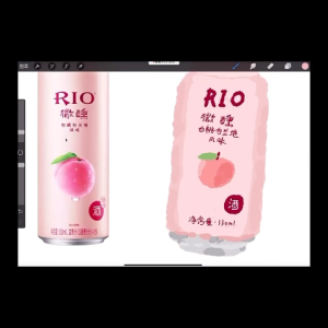 COURSE063 Procreate PS Course คอร์สวาดสเก็ตช์สามบท แบบครบวงจร แถมบรัช+กระดาษ