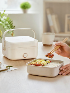 Bear | Electric Heated Lunch Box No Water Adding Plug and Heat