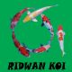 RidwanKoi