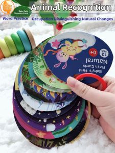 Pinwheel | Early Childhood Educational Flash Cards Rip Resistant