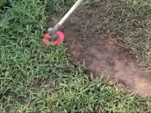 Mata Pisau Matun Padi Paddy Blade Penyaing Gulma Mesin Potong Rumput Pisau Perkebunan Sayur Potong Padi Rumput Pisau Matun Potong Padi Rumput Untuk Mesin Potong Rumput Set Blade Head KDK-BHS201