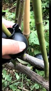 6pc Plant Rooting Ball S-l High Pressure Graft Breeding Case Nursery Box Propagation Jardinage Plant Root Pot Garden Accessories