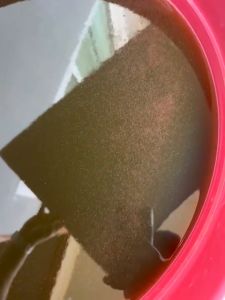 พันธุ์ไรแดงT10  พ่อแม่พันธุ์ไรแดง ตัวโตๆ ไข่แน่นๆ เหมาะสำหรับนำไปขยายต่อ (เจ้าดังในบ้านดำ)