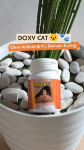DOXY CAT obat antibiotik flu demam batuk kucing doxycat