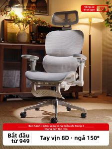 YANXUAN | Ergonomic Office & Gaming Chair