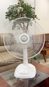 Dowell Simply White 16" Desk Fan with Powerful Motor AS Blade | TF3-SIMPLYWHITE16
