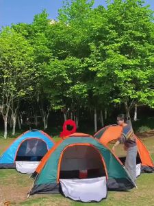 2/4/6 person waterproof outdoor dome camping tent automatic quick opening hiking tent for camping