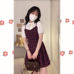 ⚡Port⚡ 2025 new Fake Two Piece Bubble Sleeved Checkered Dress Women Short Dress Polo Collar College Style