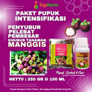 Pupuk Booster Pelebat Buah Manggis: Solusi Terbaik untuk Pertumbuhan Optimal