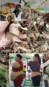 Trà Túi Lọc Lá Nam Giảm Cân ( Bịch 50 Túi Lọc) Dược Liệu Gia Truyền