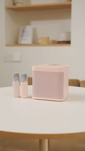 3D Stereo Amplifier Speaker Wireless Bluetooth Dual Microphone Karaoke Speaker