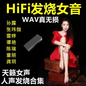 Sun Lu Fever Vocal Car USB Flash Disk 2024 New Arrival Lossless High Sound Quality HiFi Song USB Flash Disk Audio Car